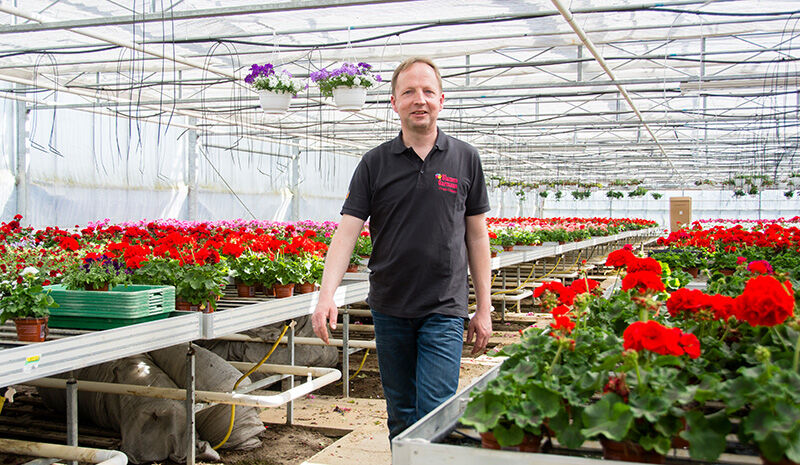Blumen-Garmann-Detlef-Garmann.jpg